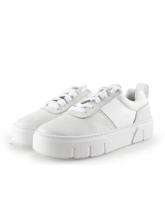 Timberland Sneaker