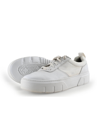 Timberland Sneaker