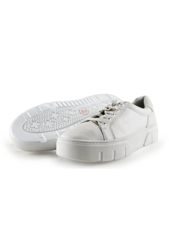 Timberland Sneaker