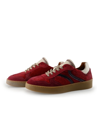 Manfield Sneaker Rot 288339