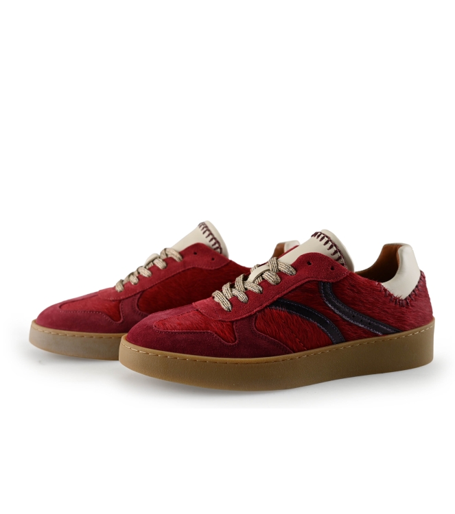 Manfield Sneaker