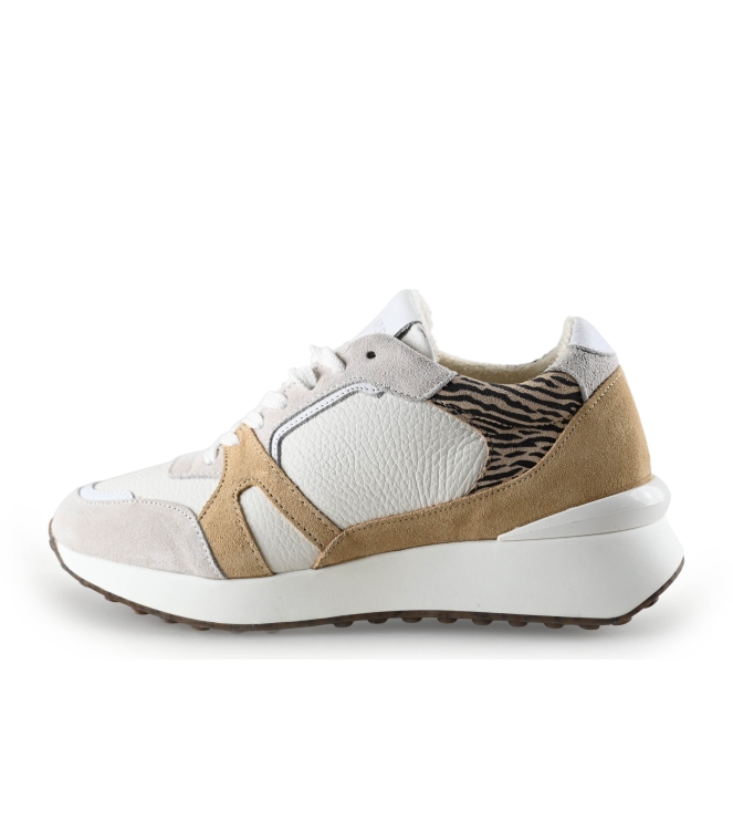 Manfield Sneaker
