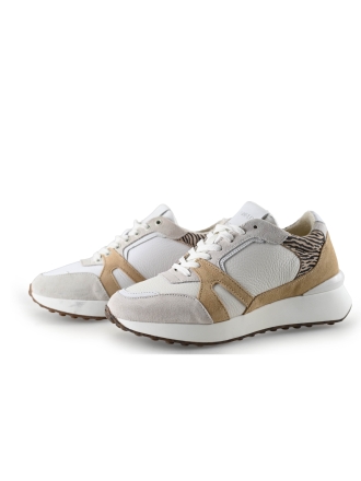 Manfield Sneaker