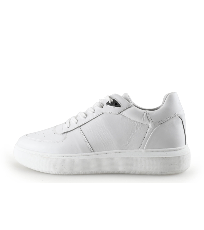 Manfield Sneaker