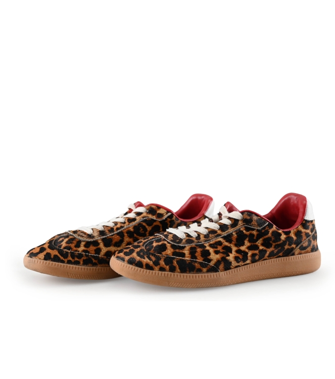 Sacha Sneaker