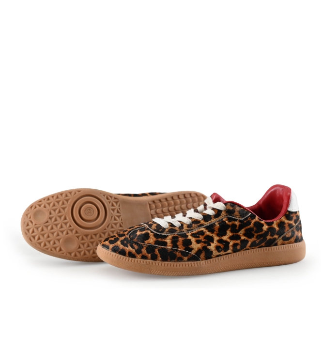 Sacha Sneaker
