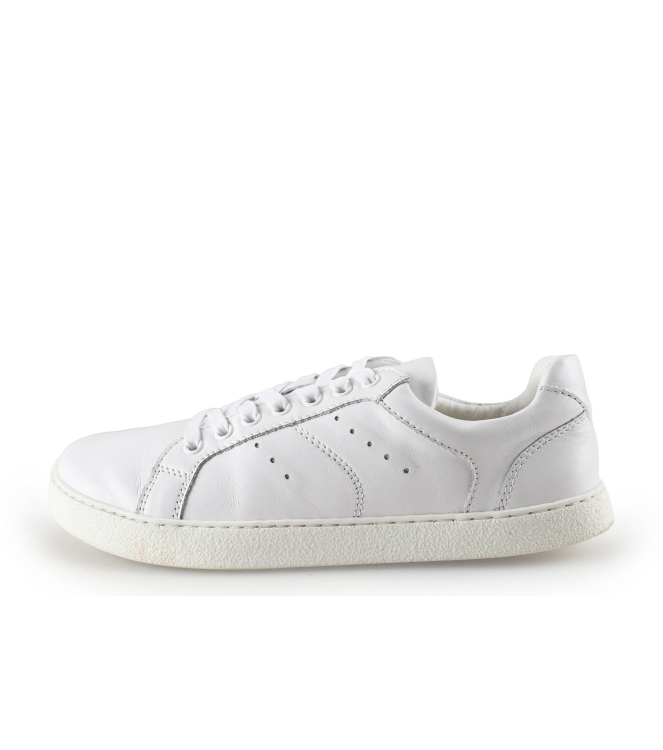 Barefoot Groundies Sneaker