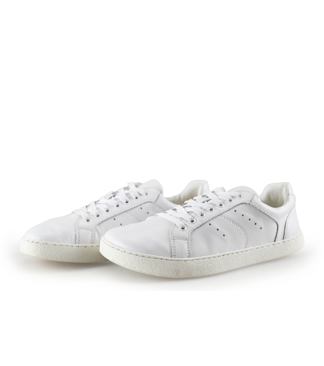 Barefoot Groundies Sneaker