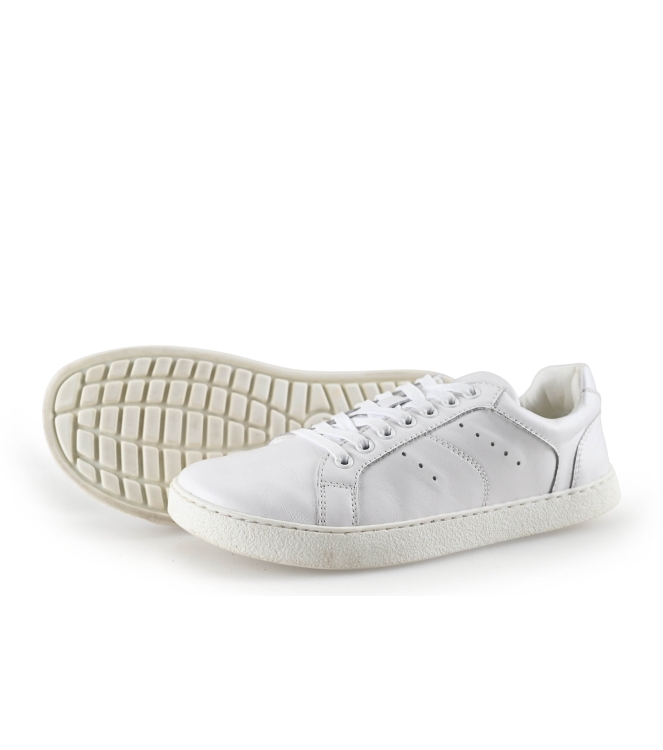 Barefoot Groundies Sneaker