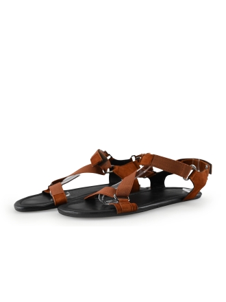 Zaqq Braun 288828