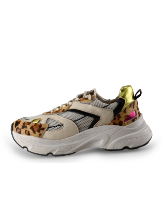Sacha Sneaker 289029
