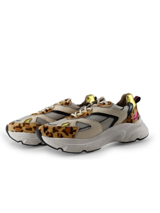 Sacha Sneaker 289029