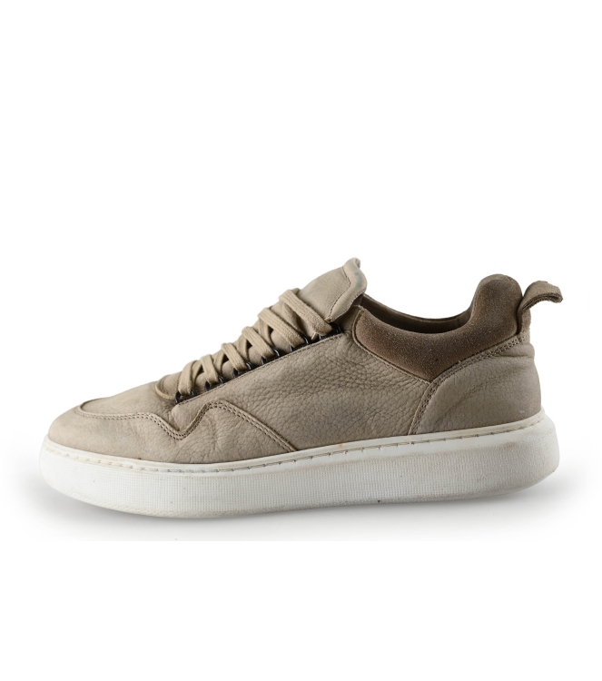 Sacha Sneaker
