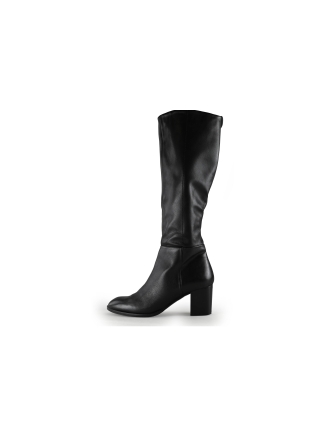 Nelson Stiefel