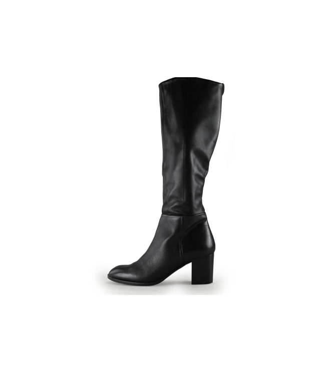 Nelson Stiefel