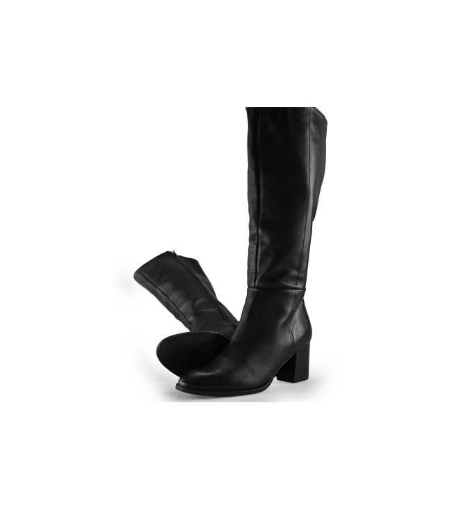 Nelson Stiefel
