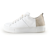 Manfield Sneaker