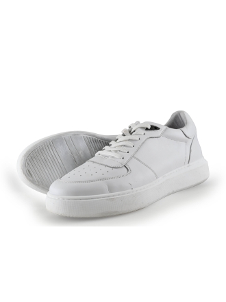 Manfield Sneaker