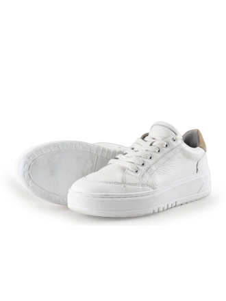 Manfield Sneaker