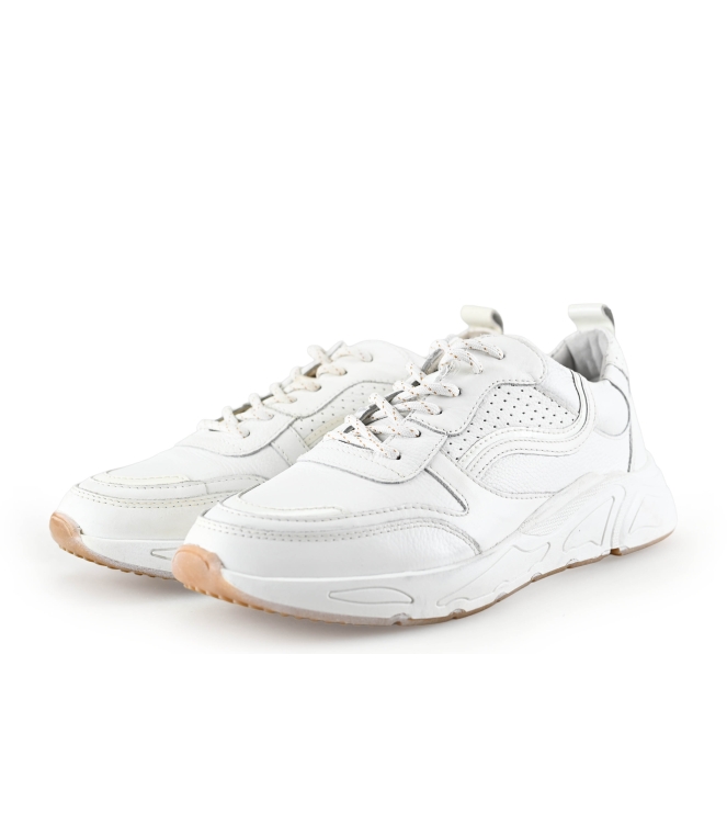 Sacha Sneaker