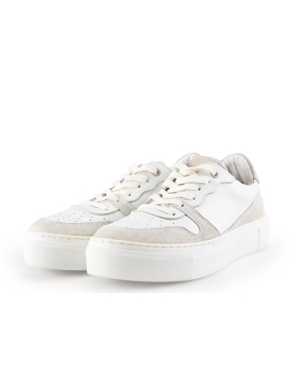 Sacha Sneaker