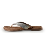 Lazamani Flip-Flops