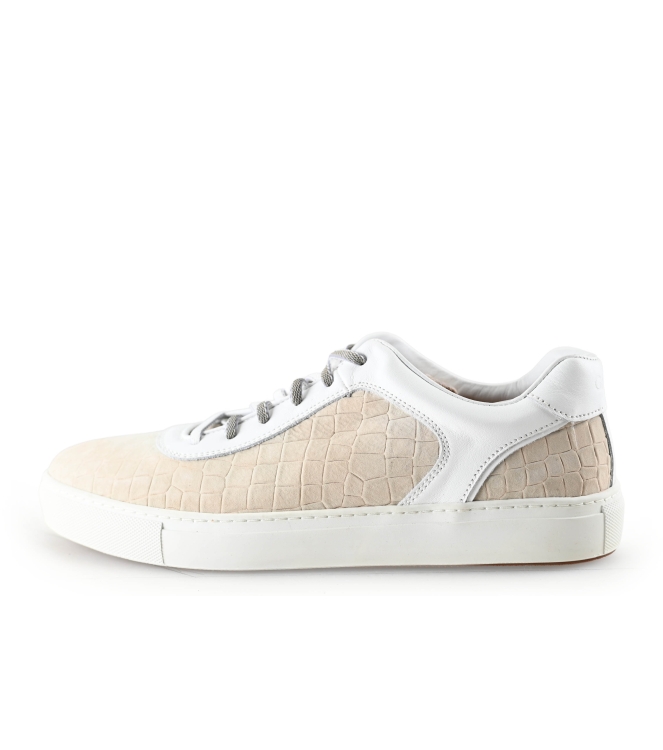 Greve Sneaker