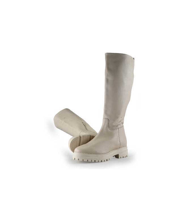 Nelson Stiefel