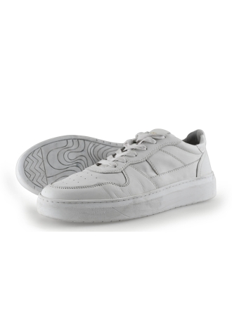 Manfield Sneaker