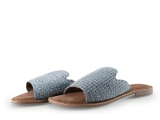 Lazamani Flip-Flops