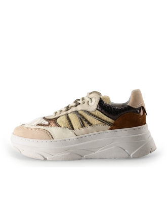 Nelson Sneaker Beige 291427