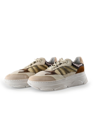Nelson Sneaker Beige 291427