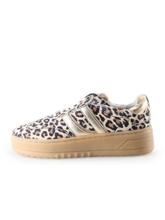 Poelman Sneaker