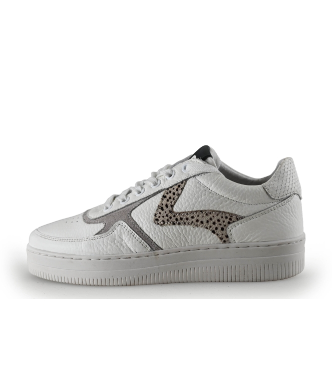 Maruti Sneaker
