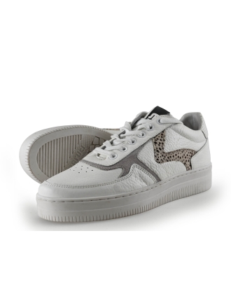 Maruti Sneaker