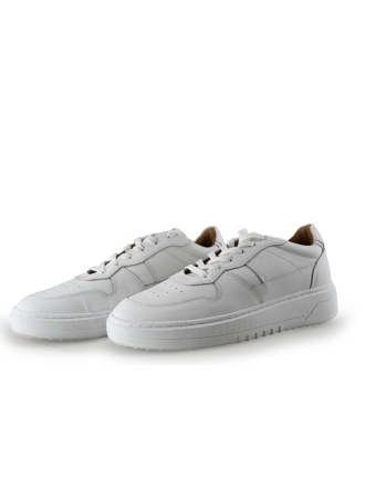 Nelson Sneaker