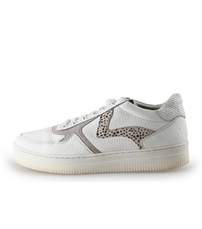 Maruti Sneaker