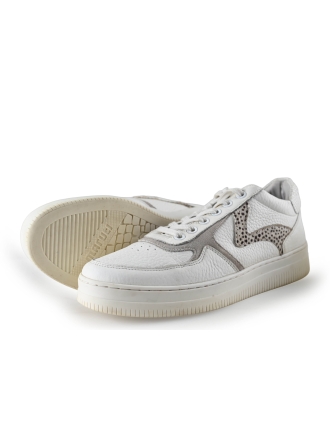 Maruti Sneaker