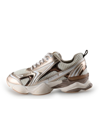 Steve Madden Sneaker Gold 292607