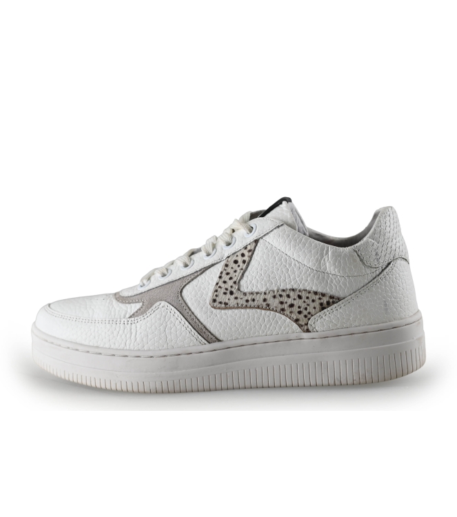 Maruti Sneaker