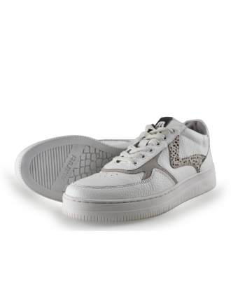 Maruti Sneaker