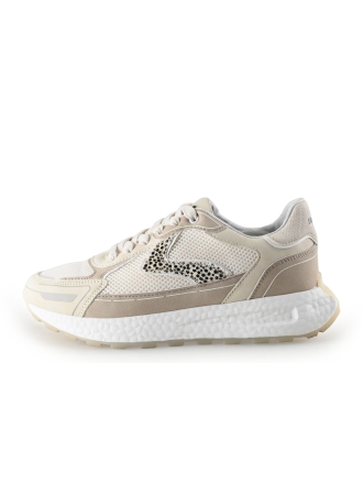 Maruti Sneaker