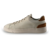 Toms Sneaker