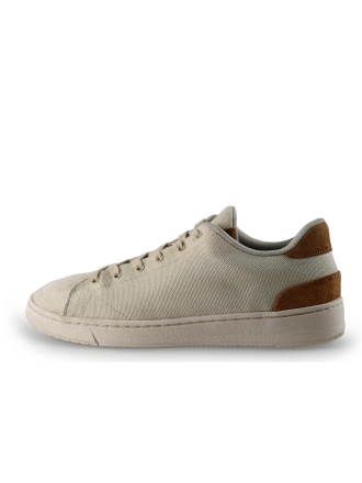 Toms Sneaker