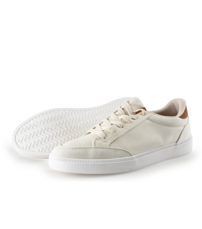 Toms Sneaker