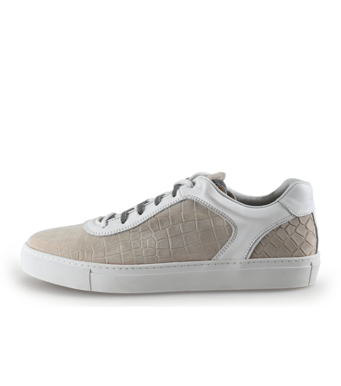 Greve Sneaker