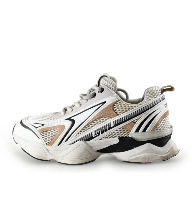 Steve Madden Sneaker