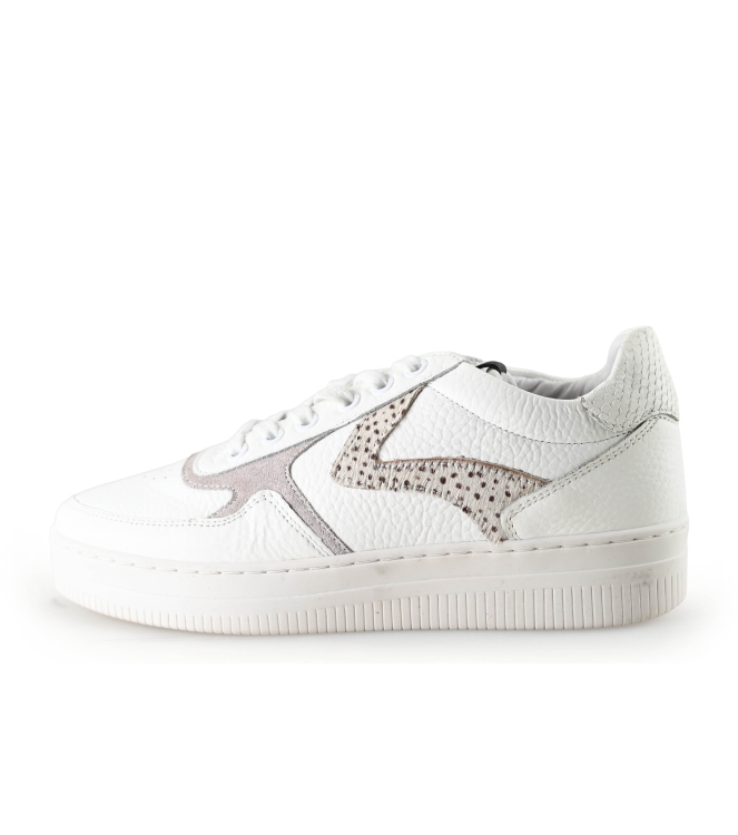 Maruti Sneaker