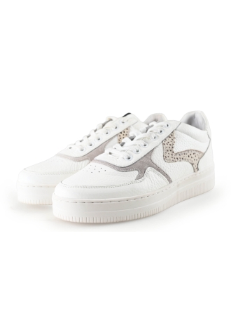 Maruti Sneaker