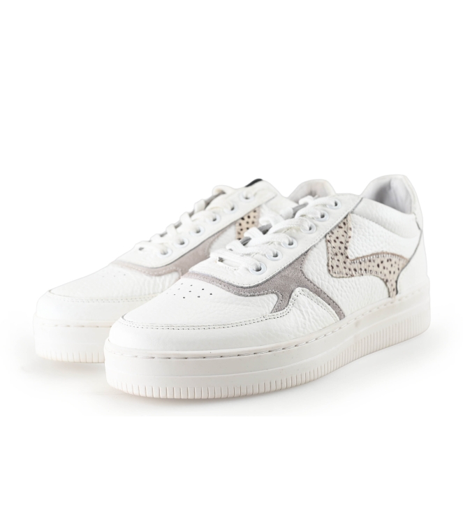 Maruti Sneaker